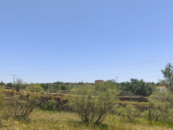 Terrain à vendre à Marjana contacter un avocat