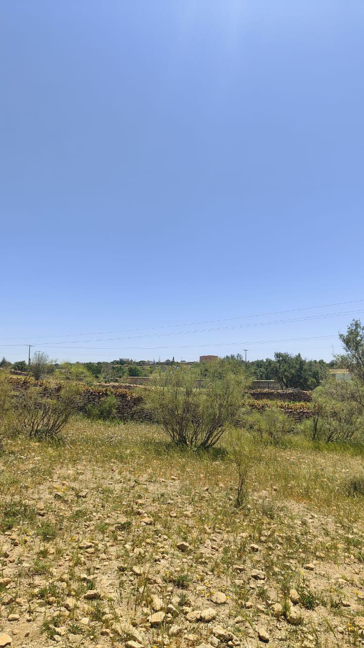 Terrain à vendre à Marjana contacter un avocat