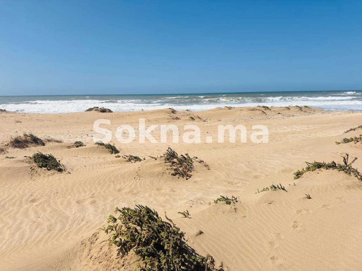 Un terrain à Essaouira, les pieds dans l'eau