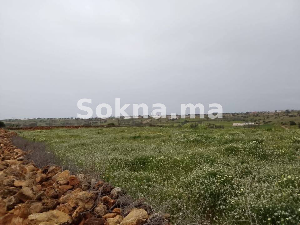 Terrain titré à vendre – Région d’Essaouira route marraksh