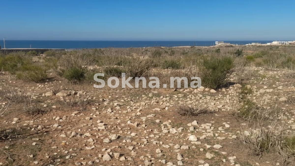 Terrain d’exception vue mer à vendre – Route Safi / Essaouira