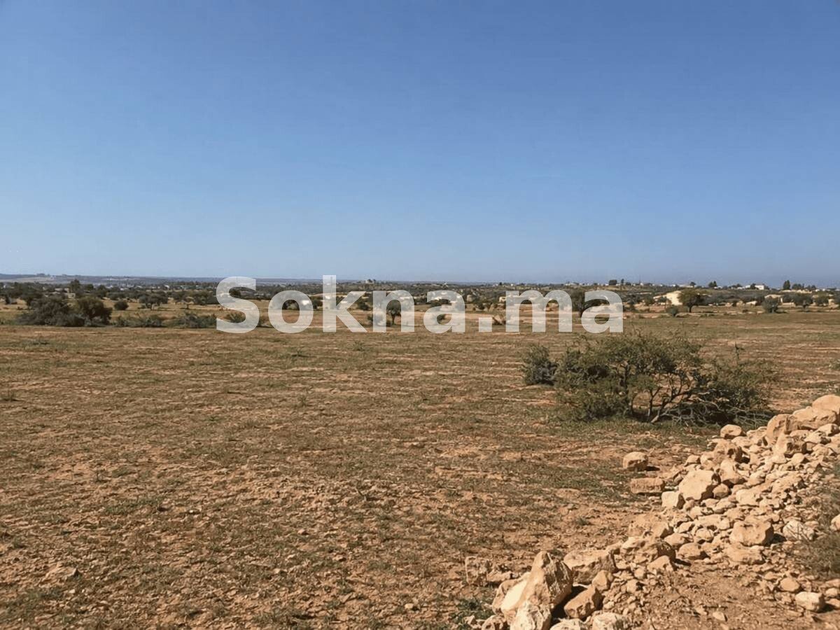 Opportunité Rare à Ghazoua – Terrain Titré