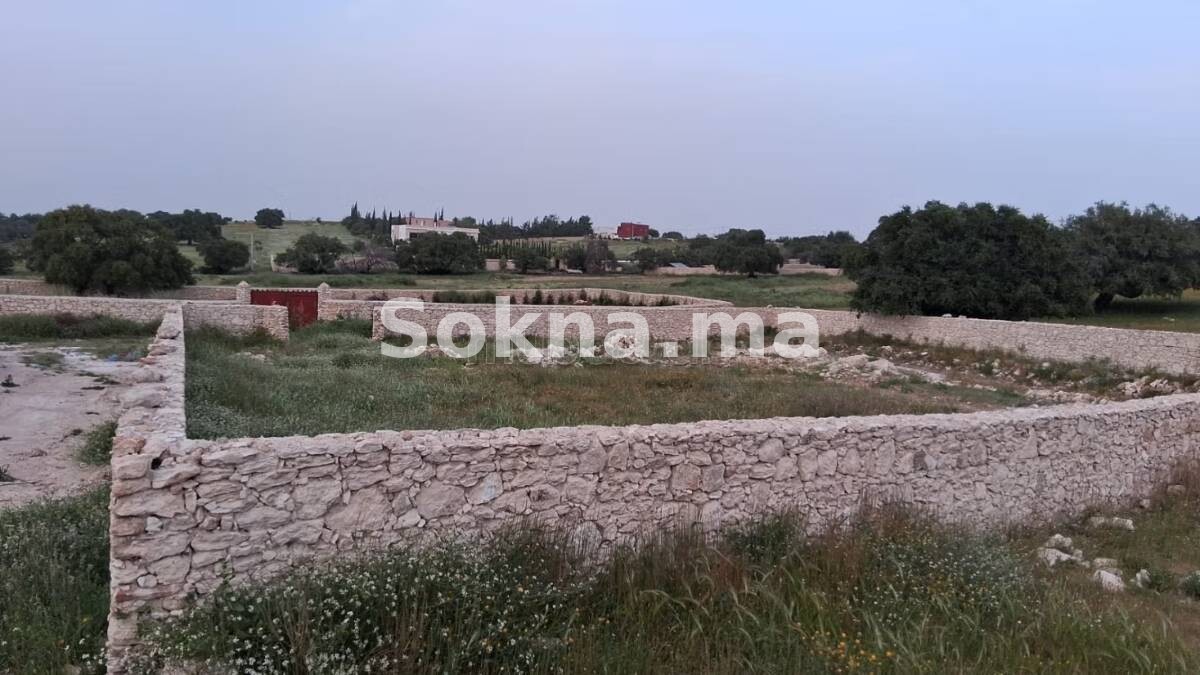 Terrain agricole à vendre – Bouzama / Idaougard, Essaouira