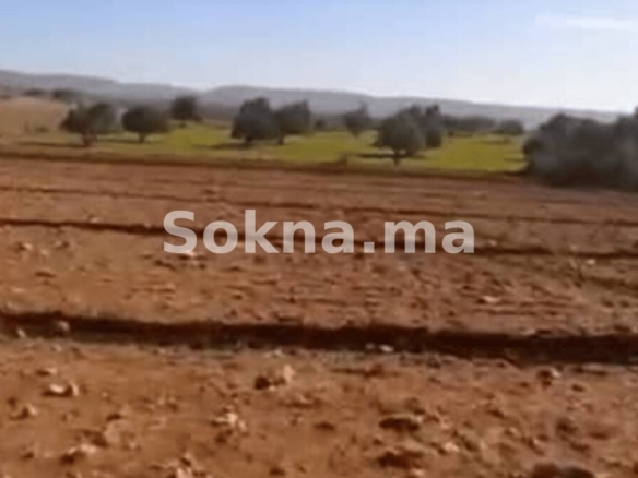10 hectares Région Had Draa – Essaouira