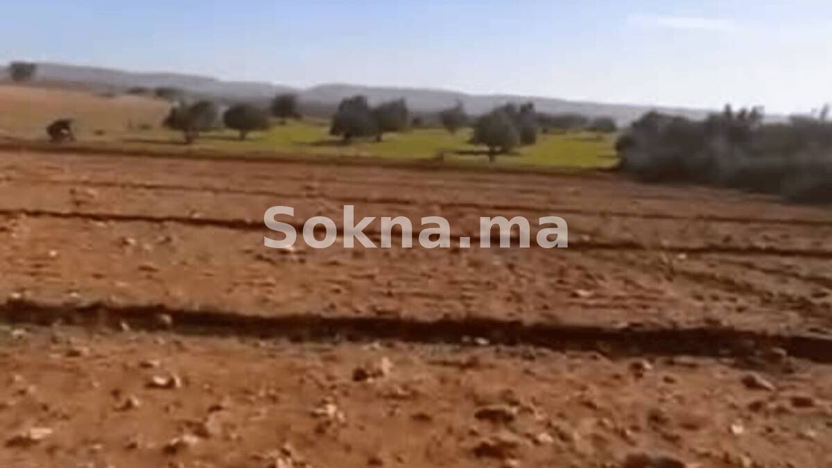 10 hectares Région Had Draa – Essaouira