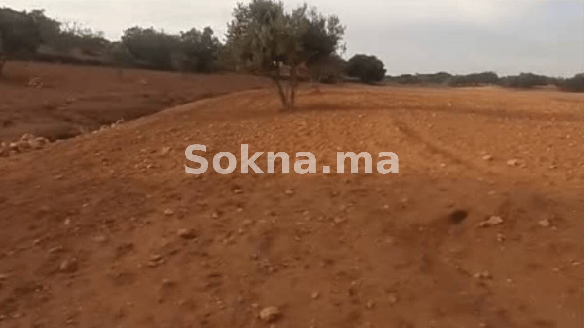 Terrain titré de 5 hectares à vendre à Adaguerd – Idéal investissement