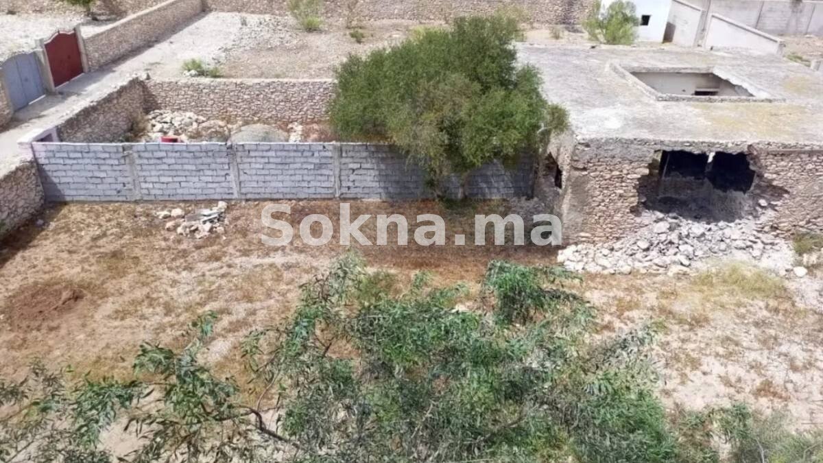 Terrain titré avec ruine à vendre – Ghazoua