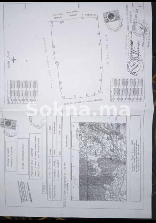 Terrain Agricole avec Arganiers à Vendre (lhrarta) - Image 3