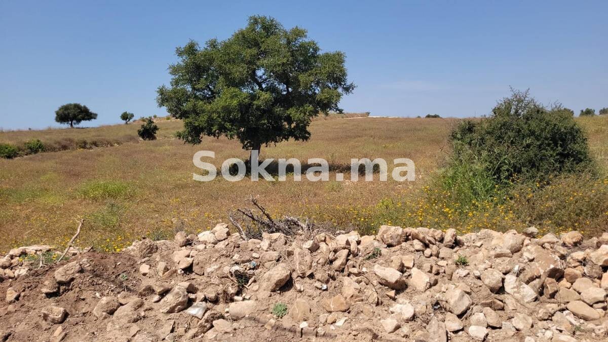 Vente Terrain Titré à Laharta Essaouira – 10 043 m