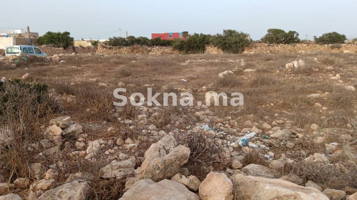 Terrain 1 000 m à Vendre Village Ifrane Essaouira – 1,5 km Plage