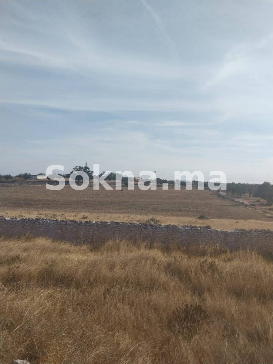 Terrain de 13 000 m à vendre à 12 km d’Essaouira